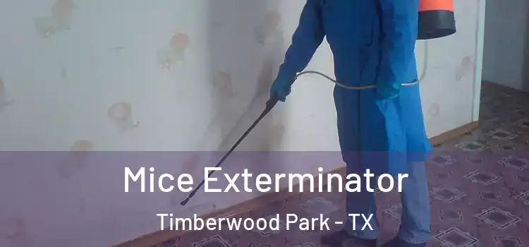 Mice Exterminator Timberwood Park - TX