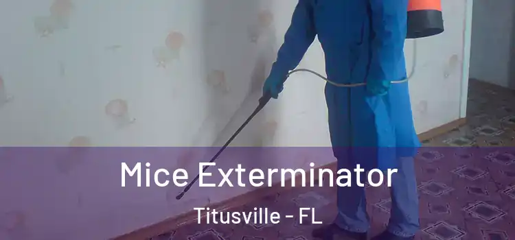 Mice Exterminator Titusville - FL