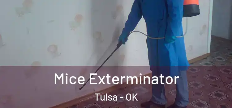  Mice Exterminator Tulsa - OK