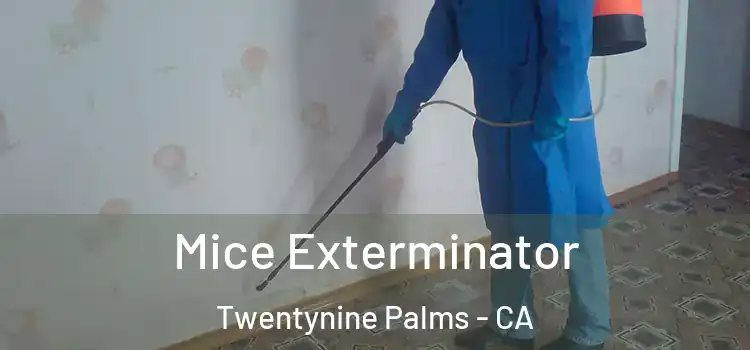  Mice Exterminator Twentynine Palms - CA