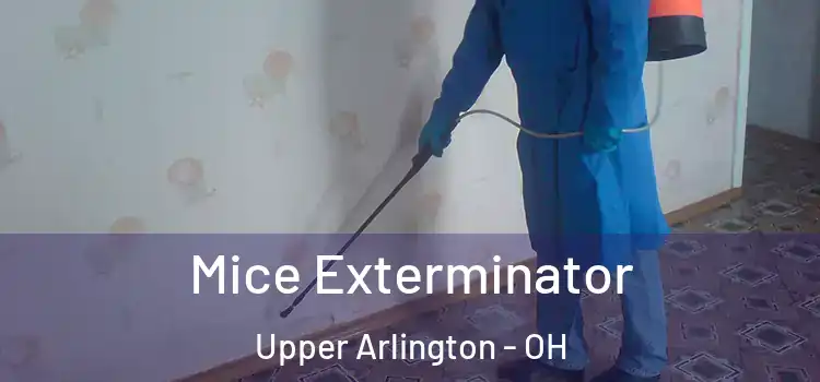  Mice Exterminator Upper Arlington - OH
