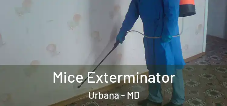  Mice Exterminator Urbana - MD