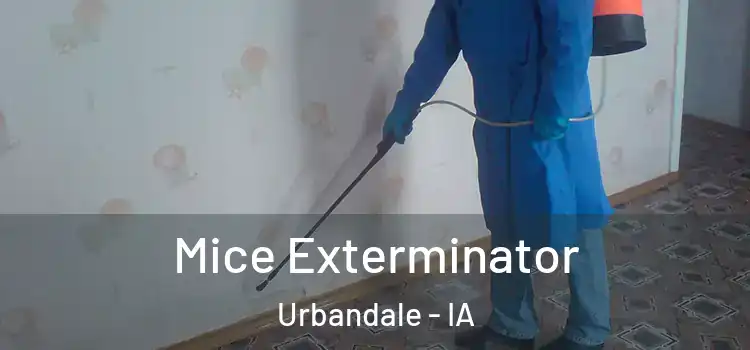 Mice Exterminator Urbandale - IA