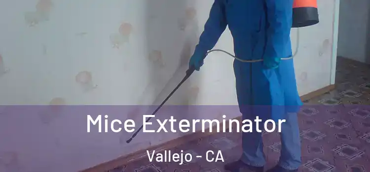  Mice Exterminator Vallejo - CA
