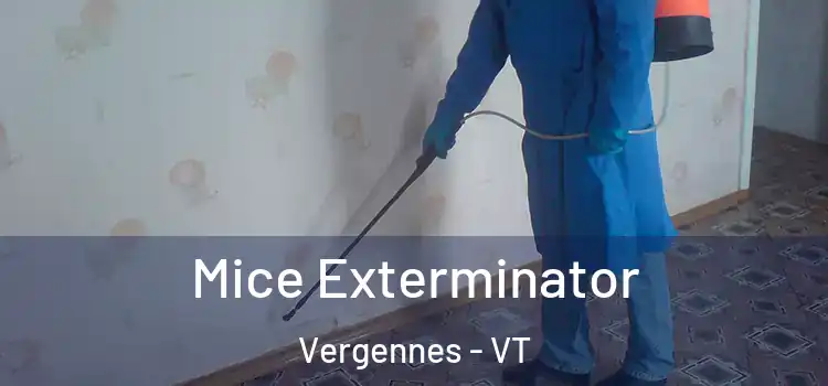  Mice Exterminator Vergennes - VT