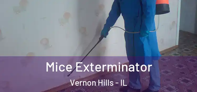 Mice Exterminator Vernon Hills - IL