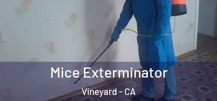 Mice Exterminator Vineyard - CA