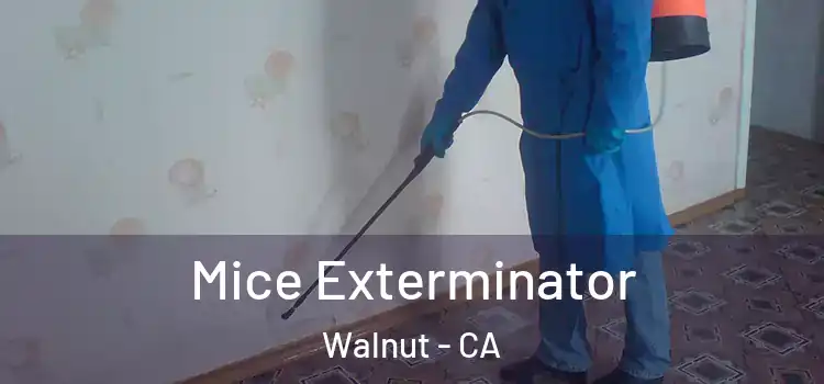 Mice Exterminator Walnut - CA