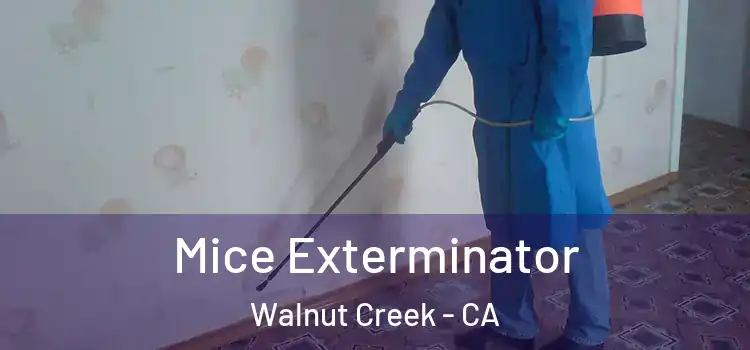  Mice Exterminator Walnut Creek - CA