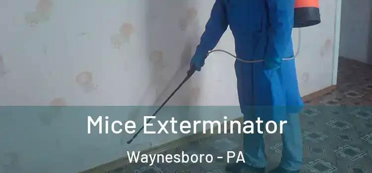  Mice Exterminator Waynesboro - PA