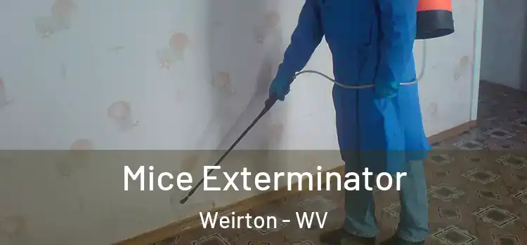  Mice Exterminator Weirton - WV