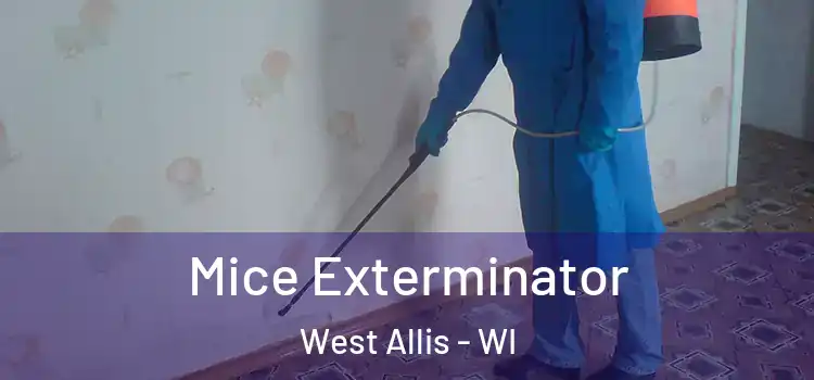  Mice Exterminator West Allis - WI
