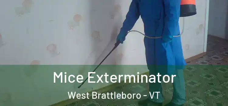  Mice Exterminator West Brattleboro - VT