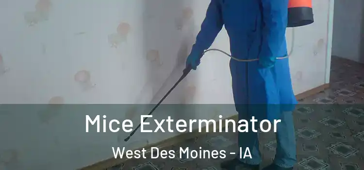  Mice Exterminator West Des Moines - IA