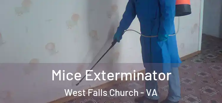 Mice Exterminator West Falls Church - VA