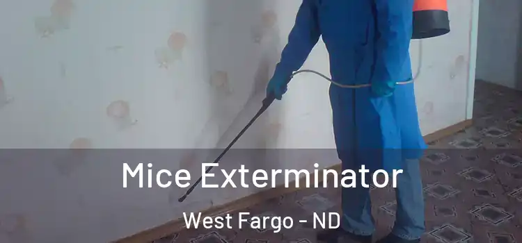  Mice Exterminator West Fargo - ND