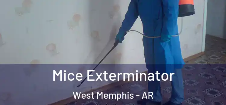 Mice Exterminator West Memphis - AR