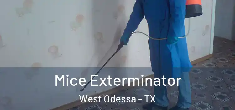  Mice Exterminator West Odessa - TX