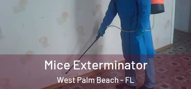 Mice Exterminator West Palm Beach - FL