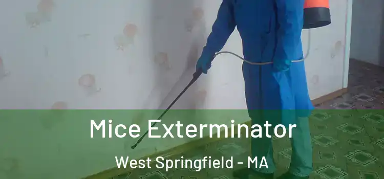 Mice Exterminator West Springfield - MA