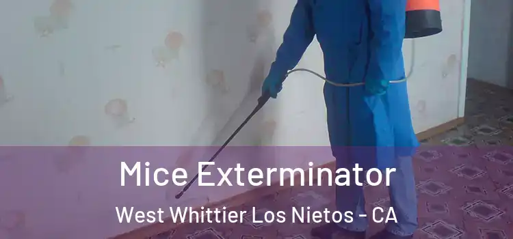 Mice Exterminator West Whittier Los Nietos - CA