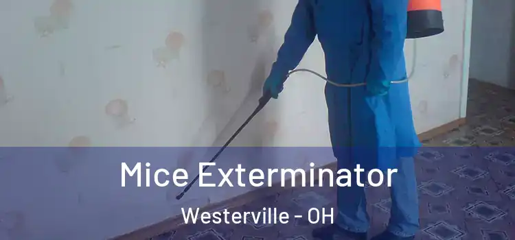 Mice Exterminator Westerville - OH