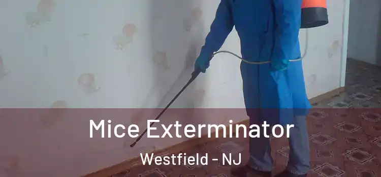  Mice Exterminator Westfield - NJ