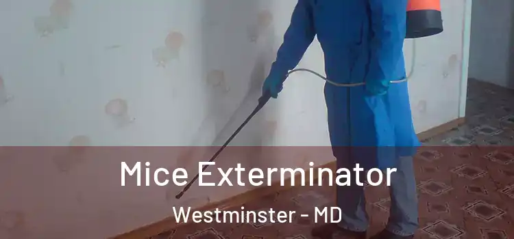 Mice Exterminator Westminster - MD