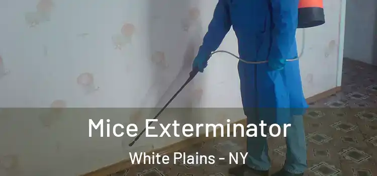  Mice Exterminator White Plains - NY