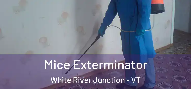  Mice Exterminator White River Junction - VT