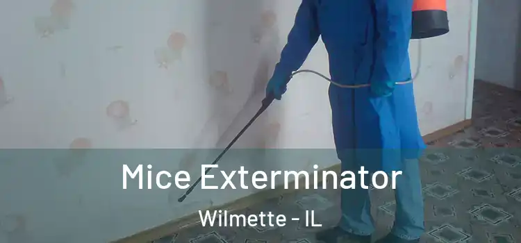 Mice Exterminator Wilmette - IL