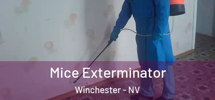 Mice Exterminator Winchester - NV