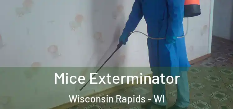 Mice Exterminator Wisconsin Rapids - WI
