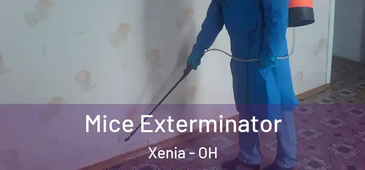 Mice Exterminator Xenia - OH