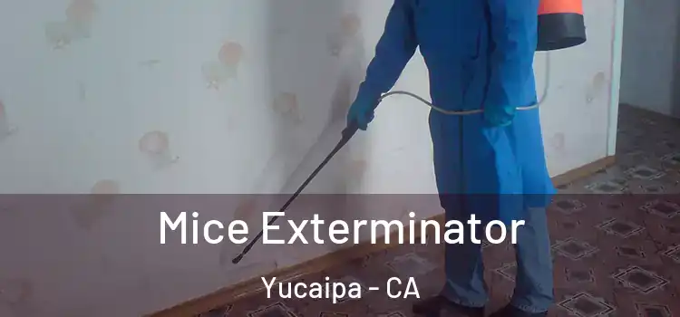 Mice Exterminator Yucaipa - CA