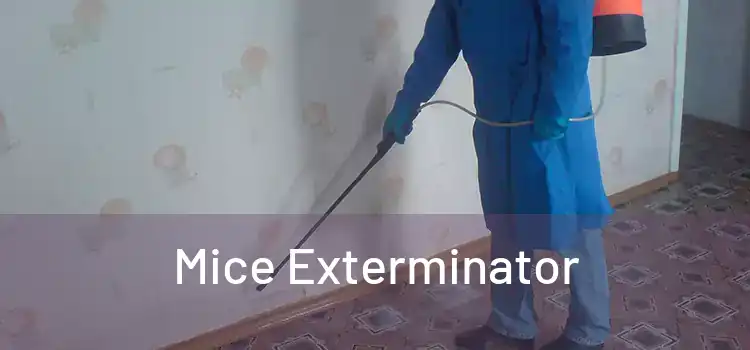  Mice Exterminator 