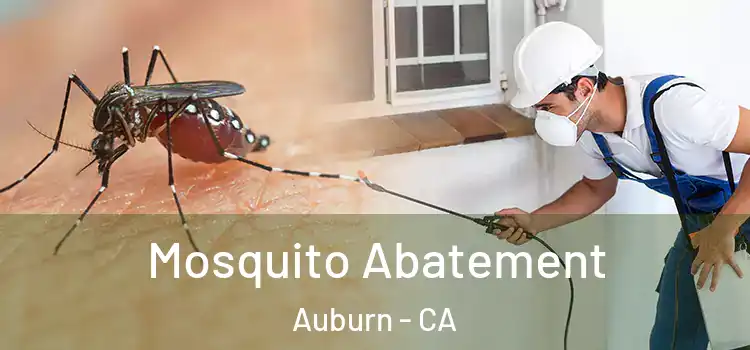  Mosquito Abatement Auburn - CA