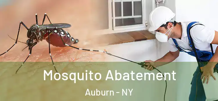 Mosquito Abatement Auburn - NY
