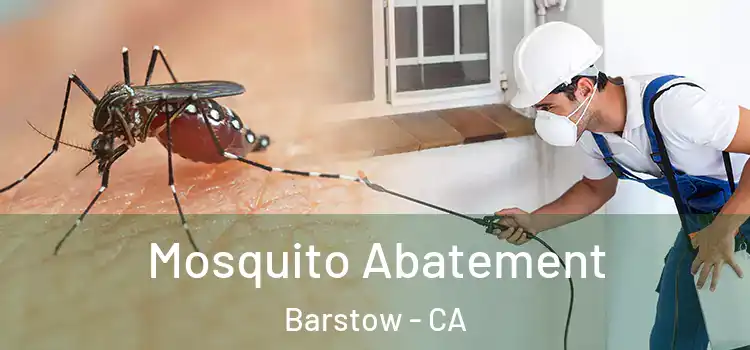  Mosquito Abatement Barstow - CA