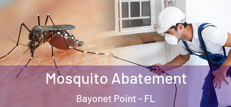 Mosquito Abatement Bayonet Point - FL