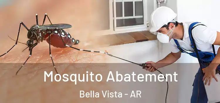  Mosquito Abatement Bella Vista - AR