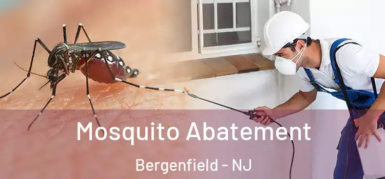 Mosquito Abatement Bergenfield - NJ