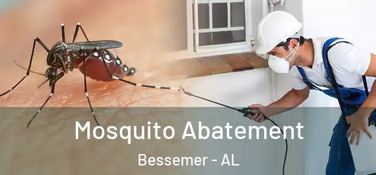 Mosquito Abatement Bessemer - AL