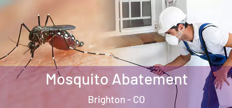  Mosquito Abatement Brighton - CO