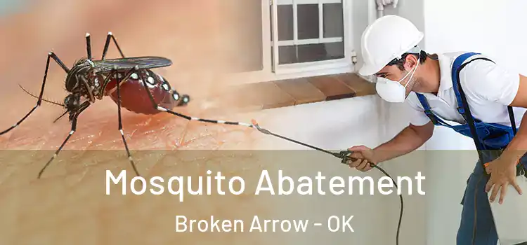 Mosquito Abatement Broken Arrow - OK
