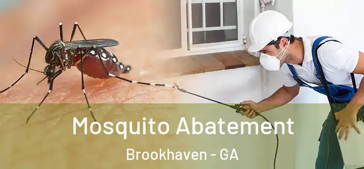  Mosquito Abatement Brookhaven - GA