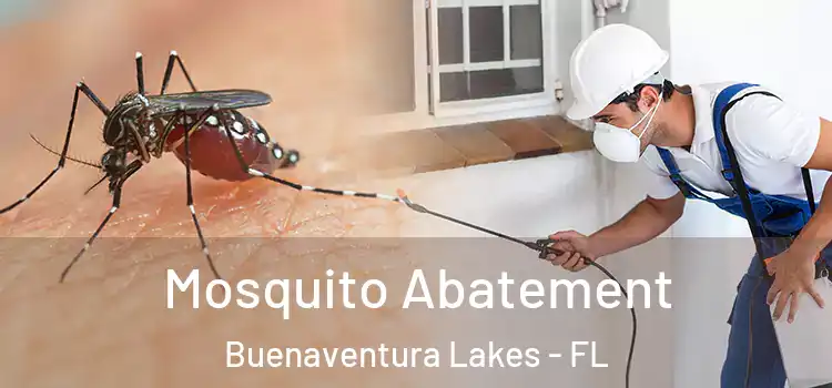  Mosquito Abatement Buenaventura Lakes - FL