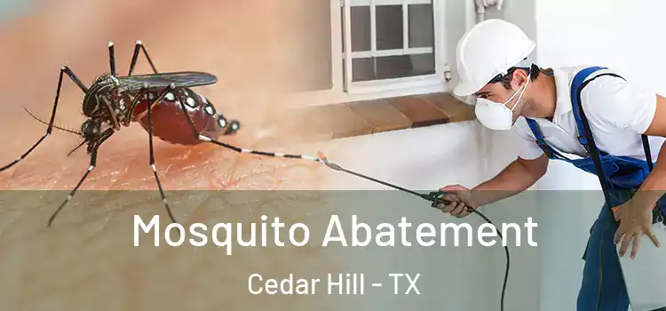 Mosquito Abatement Cedar Hill - TX