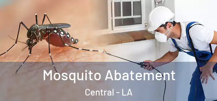  Mosquito Abatement Central - LA