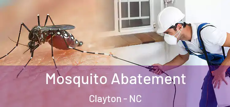 Mosquito Abatement Clayton - NC